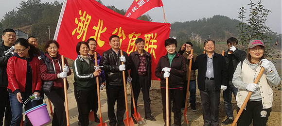 湖北省侨联开展义务植树活动和精准扶贫教育