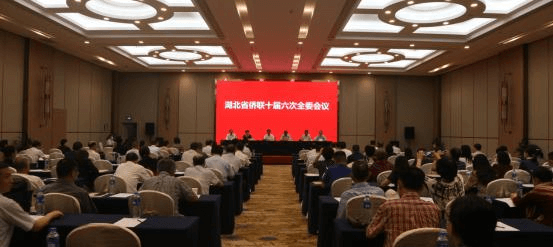 湖北省侨联十届六次全委会在武汉召开