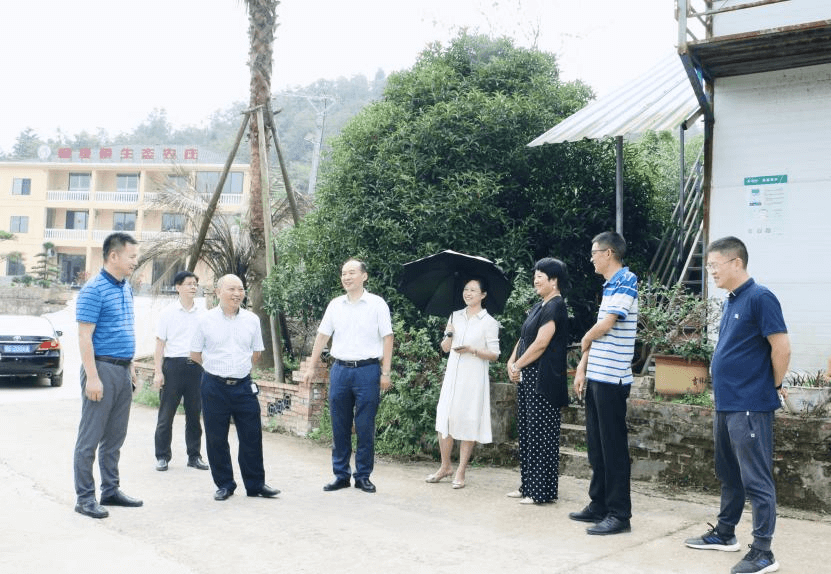 宜昌市侨联在落步埫村召开乡村振兴专题办公会
