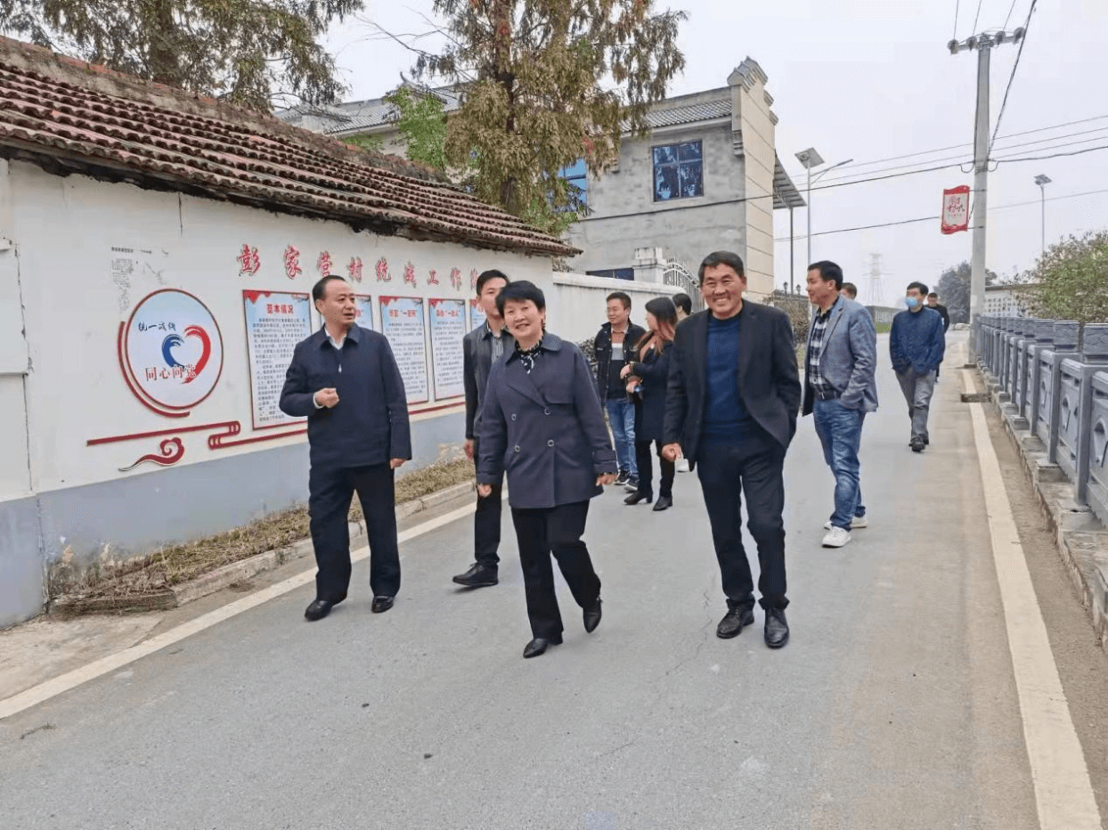 襄阳市侨联主席陈红赴驻点彭家营村开展乡村振兴工作调研