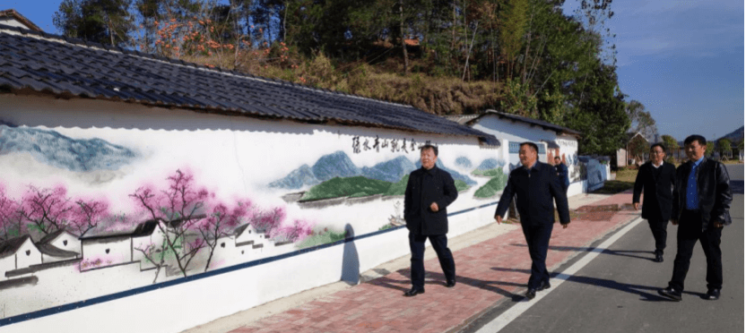 侯继文赴英山县四棵枫村调研乡村振兴工作