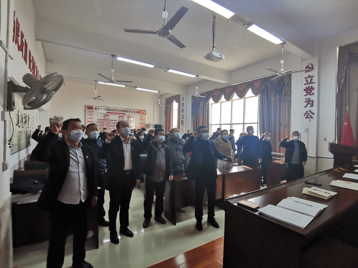 荆州市侨联到党建联系点开展主题党日活动