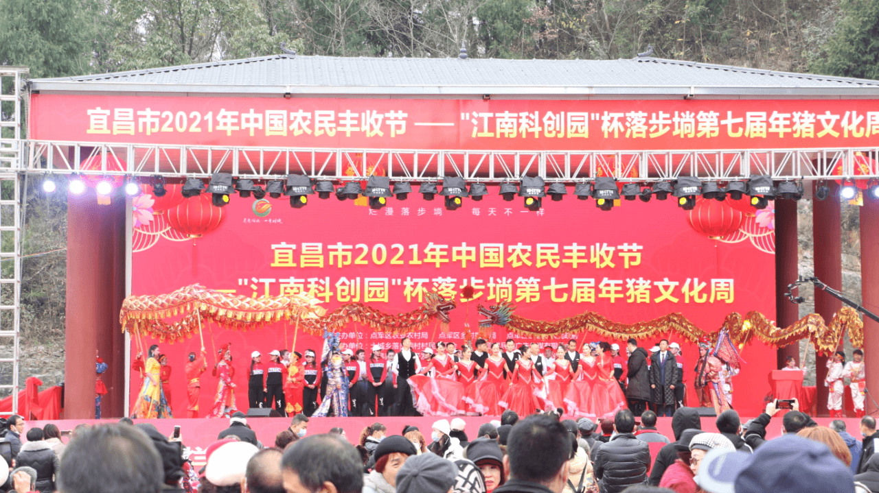 宜昌市侨联结对落步埫村举办年猪文化周