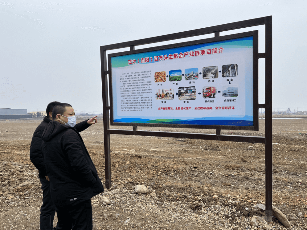 当阳市侨联调研侨企新春复工“开门红”情况