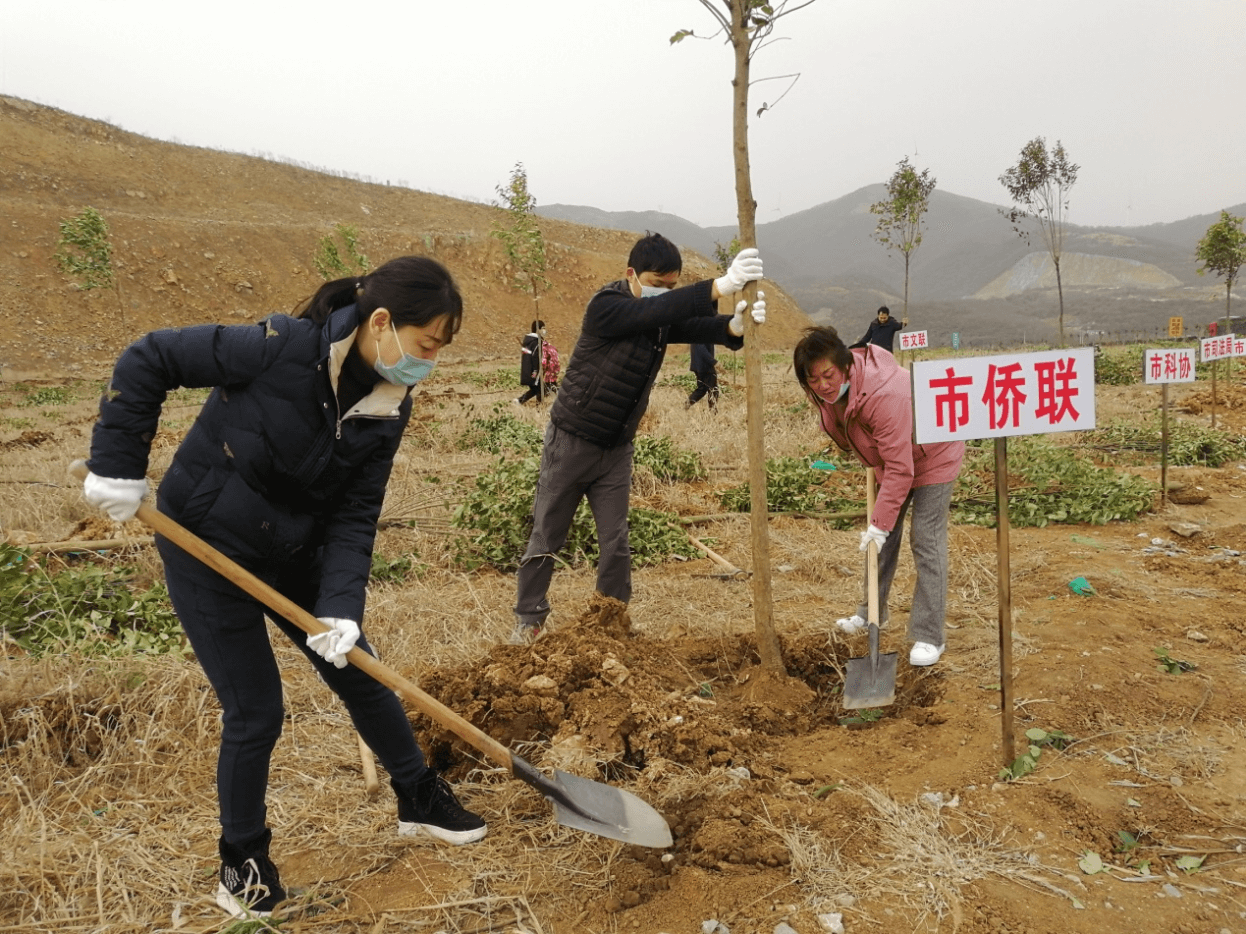 荆门市侨联参加义务植树活动