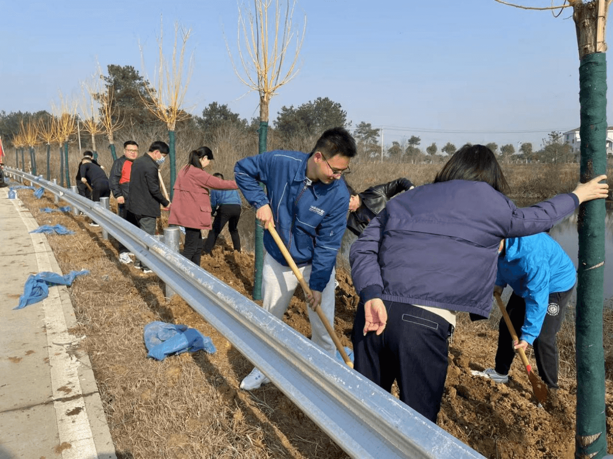孝昌县侨联组织全体机关干部参与义务植树活动