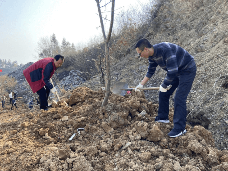 秭归县侨联开展义务植树活动