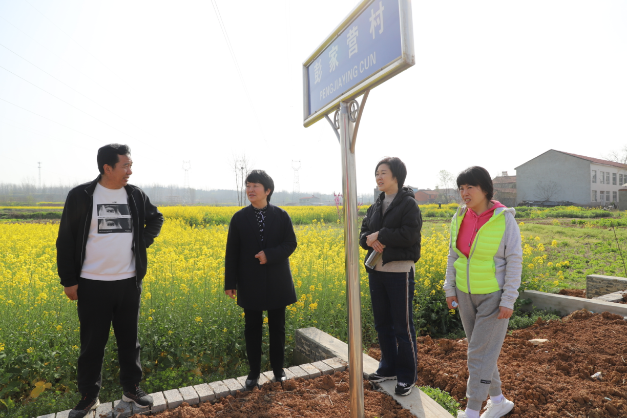 襄阳市侨联主席陈红调研彭家营村乡村振兴工作