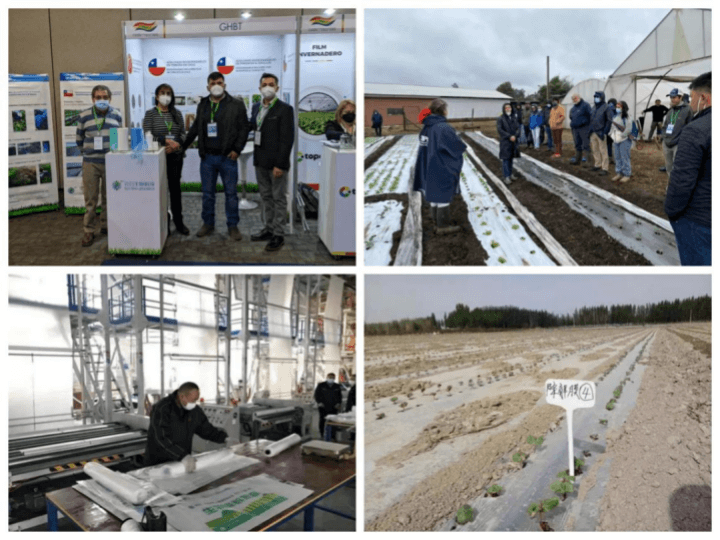 不忘环保初心 展现侨企担当 ——荆门市掇刀区侨企“光合生物”走出国门