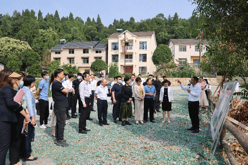 凝聚侨界智慧助力乡村振兴——宜昌市侨联组织侨界人士到点军区开展专题调研
