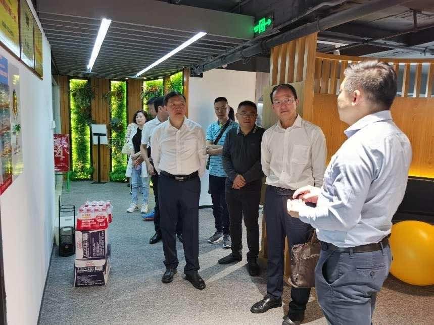 湖北侨联考察团赴海南开展招商考察