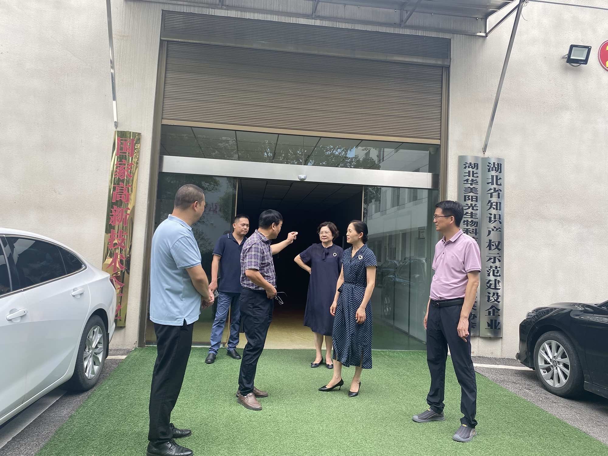 荆州市侨联主席李亚玲调研石首市侨联工作